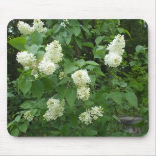 White Lilac Bush Mouse Mat
