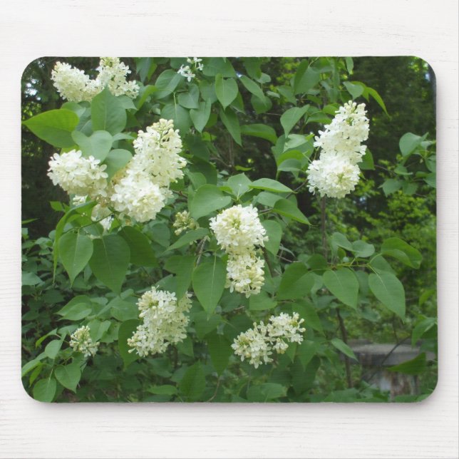 White Lilac Bush Mouse Mat (Front)