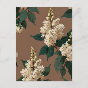 White Lilac Flowers on Brown Postcard