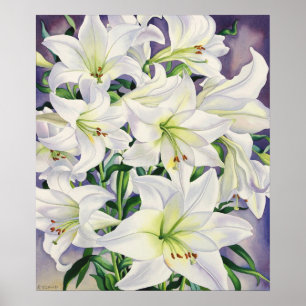 White Lilies 2008 Poster