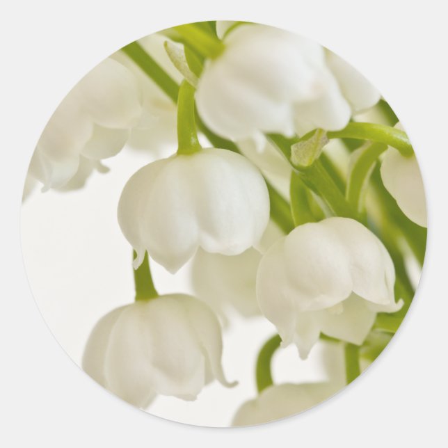 White Lilies Classic Round Sticker (Front)