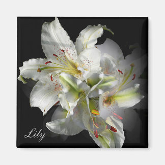 White Lilies Fantasy Magnet