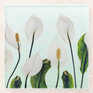 White Lilies Flowers Blue Seamless Glass Coaster