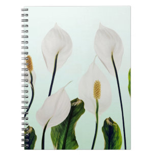 White Lilies Flowers Blue Seamless Notebook