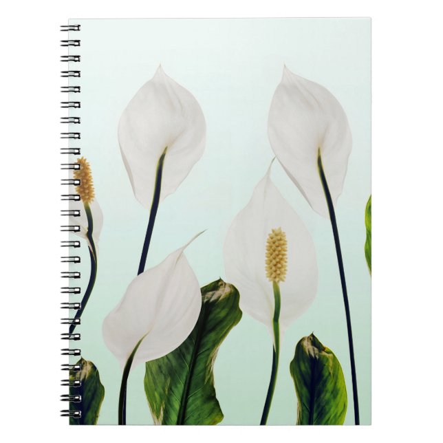 White Lilies Flowers Blue Seamless Notebook (Front)