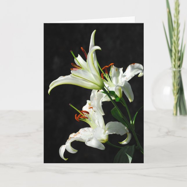 White Lilies Greeting Card (Front)