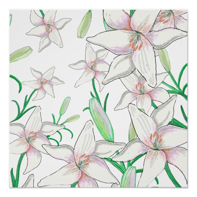 White Lilies Illustration Poster (Front)