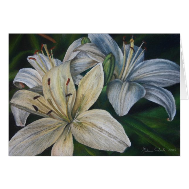 White Lilies, Late Afternoon Sun (Front Horizontal)