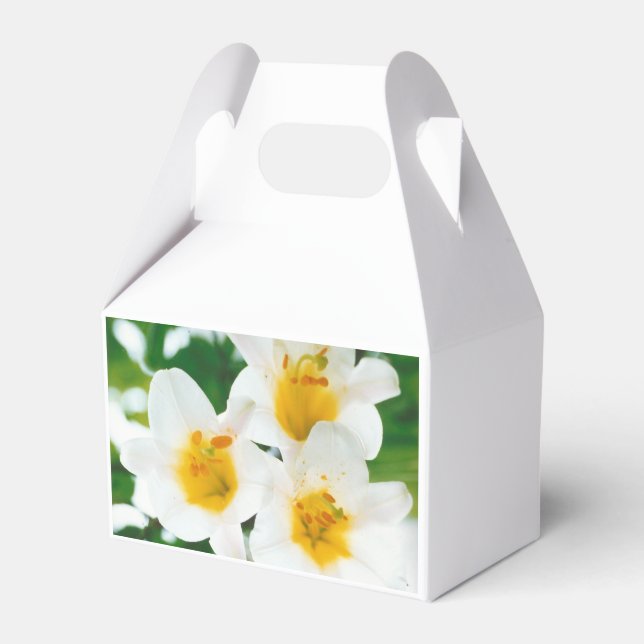 White lilies - Lilium candidum   Favour Box (Front Side)