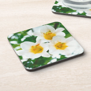 White Lilies - Lily Flower Lilium candidum Coaster