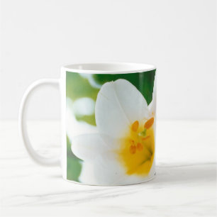 White Lilies - Lily Flower Lilium candidum Coffee Mug