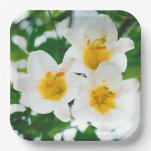 White Lilies - Lily Flower Lilium candidum Paper Plate