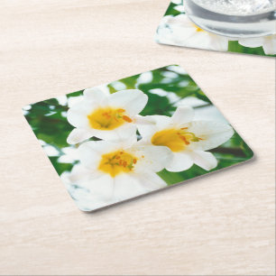 White Lilies - Lily Flower Lilium candidum Square Paper Coaster