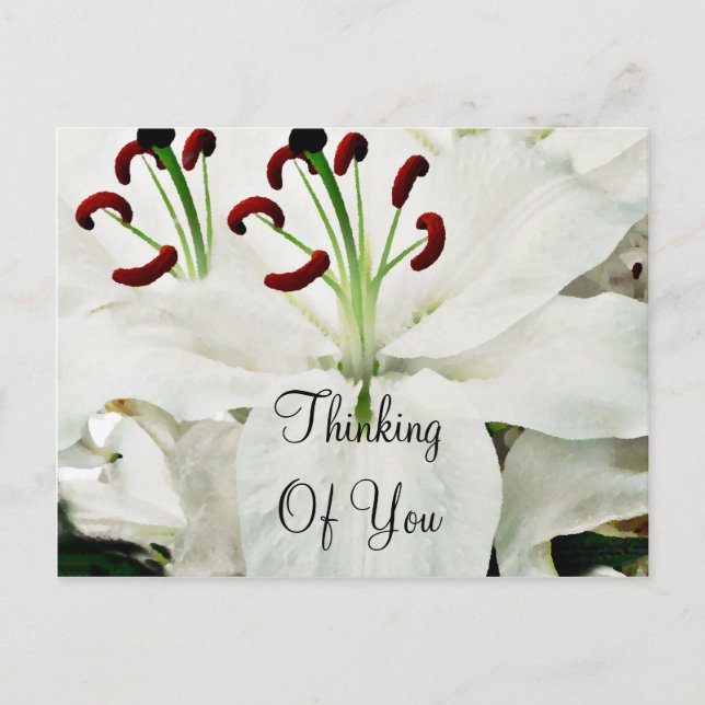 White Lilies_ Postcard (Front)