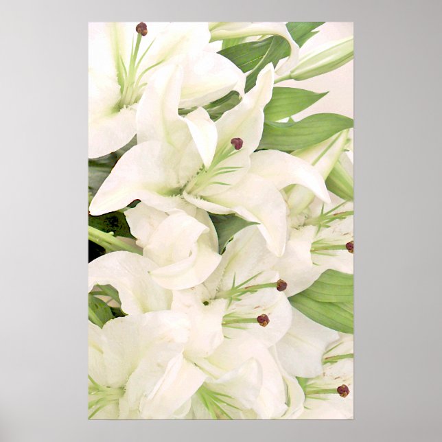 White Lilies_Poster Poster (Front)