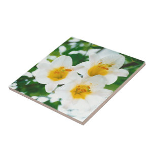 White lilies -  Symbol of love   Tile