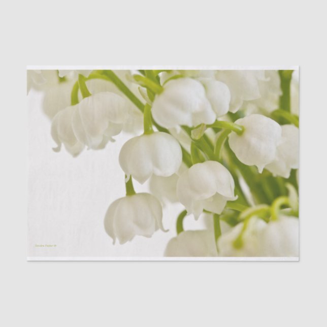 White Lilies Tissue Paper (Front)