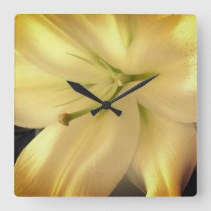 White Lillum Flower Photo Square Wall Clock