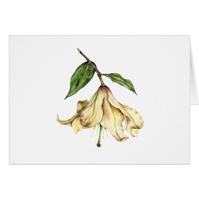 White Lily (Front Horizontal)