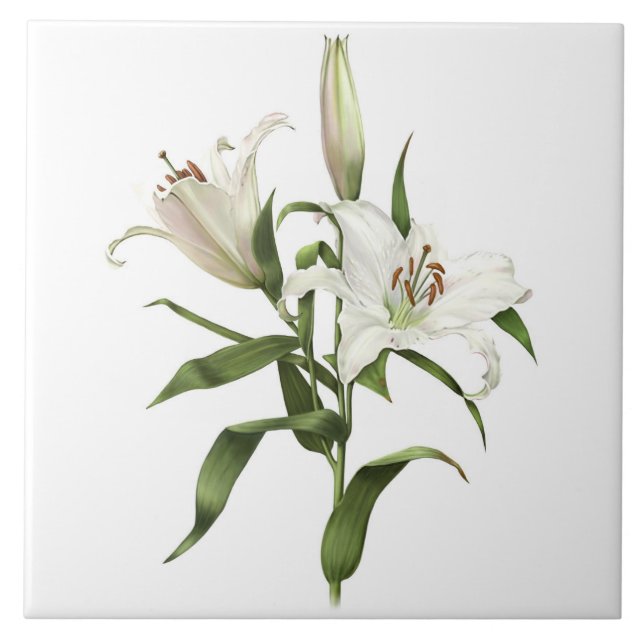 White Lily Asiatic Flowers Botanical Art Tile (Front)