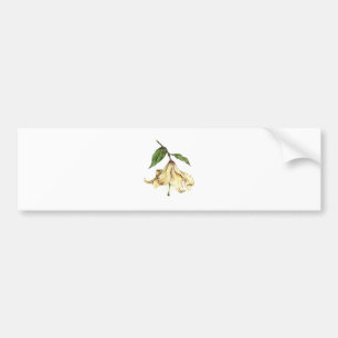 White Lily Bumper Sticker
