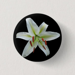 White Lily Button