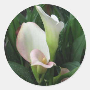 White lily classic round sticker