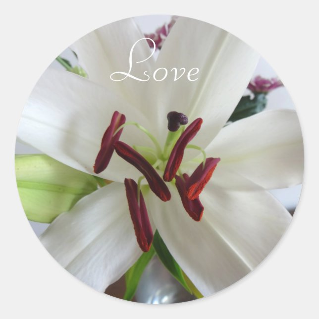 White Lily, flower. Classic Round Sticker (Front)
