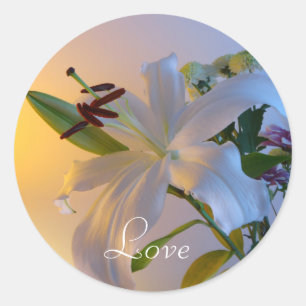 White Lily, flower. Classic Round Sticker