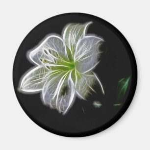 White lily flower nature beauty magnet