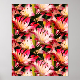 White Lily Flower Nature Pattern   Poster