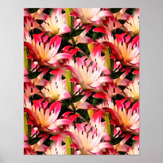 White Lily Flower Nature Pattern   Poster (Front)