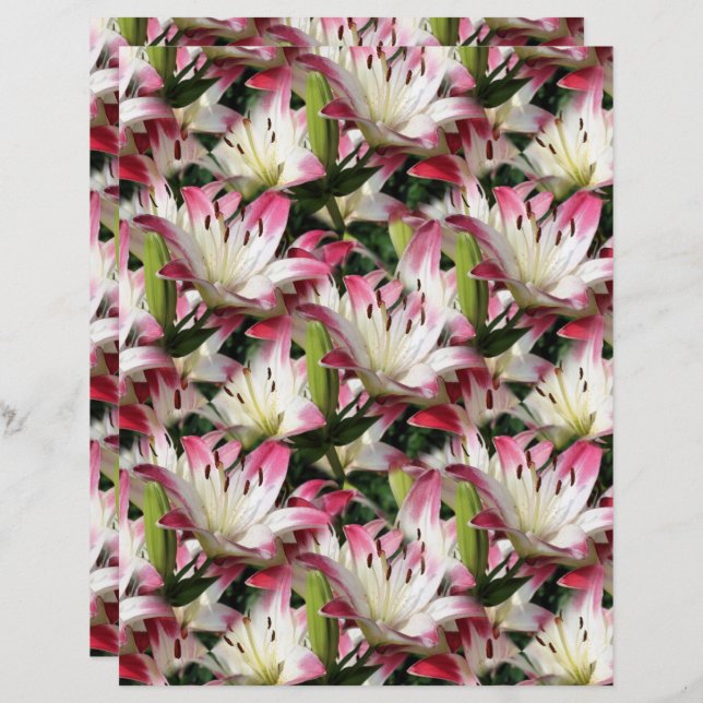 White Lily Flower Nature Pattern Scrapbook (Front/Back)