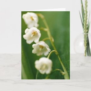 White Lily of the valley (Convallaria majalis) Card