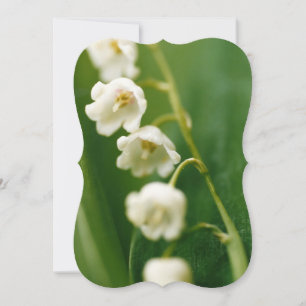 White Lily of the valley (Convallaria majalis)  Card
