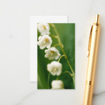 White Lily of the valley (Convallaria majalis) 