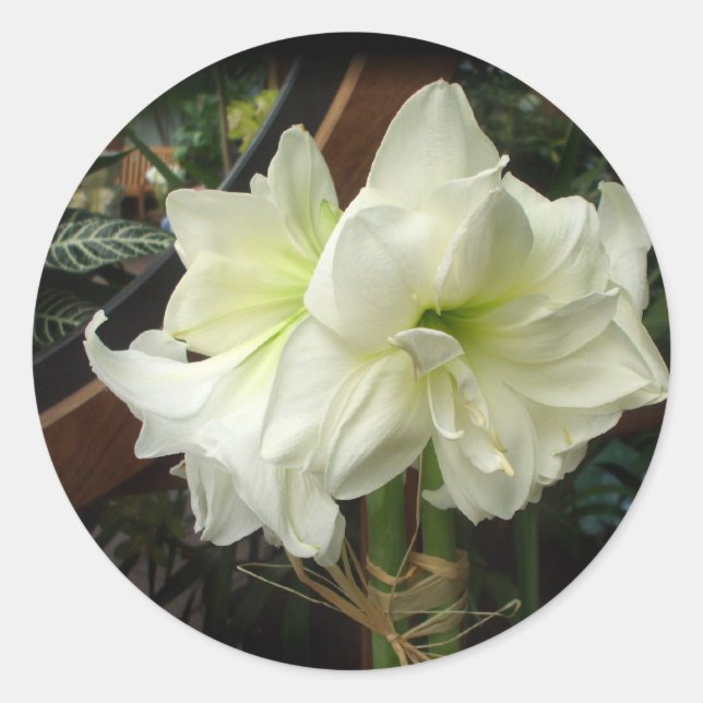 White lily stickers (Front)