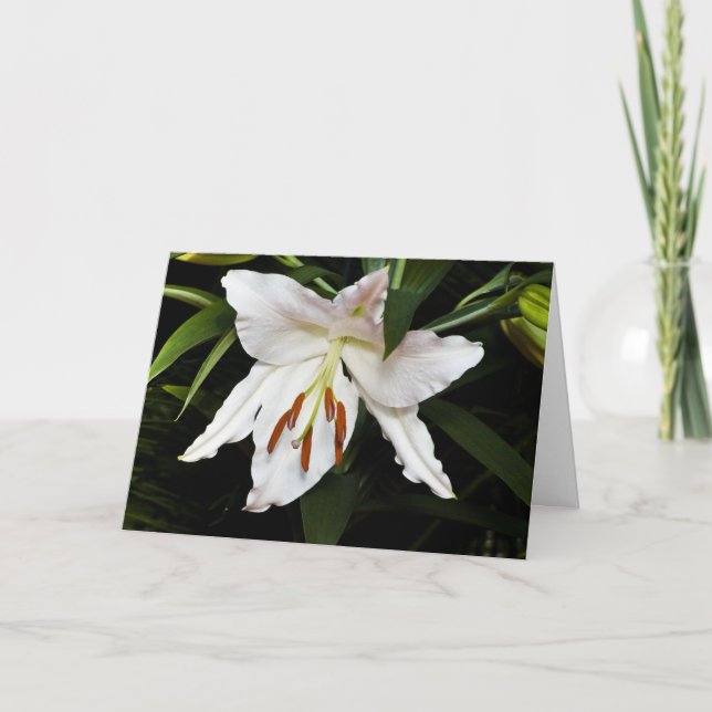 White Lily Sympathy Card (Front)