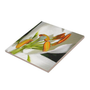 White Lily Tile