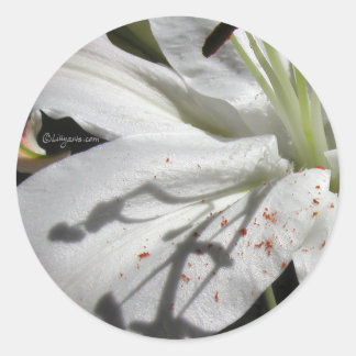 White Lily Wedding Invitation Seal