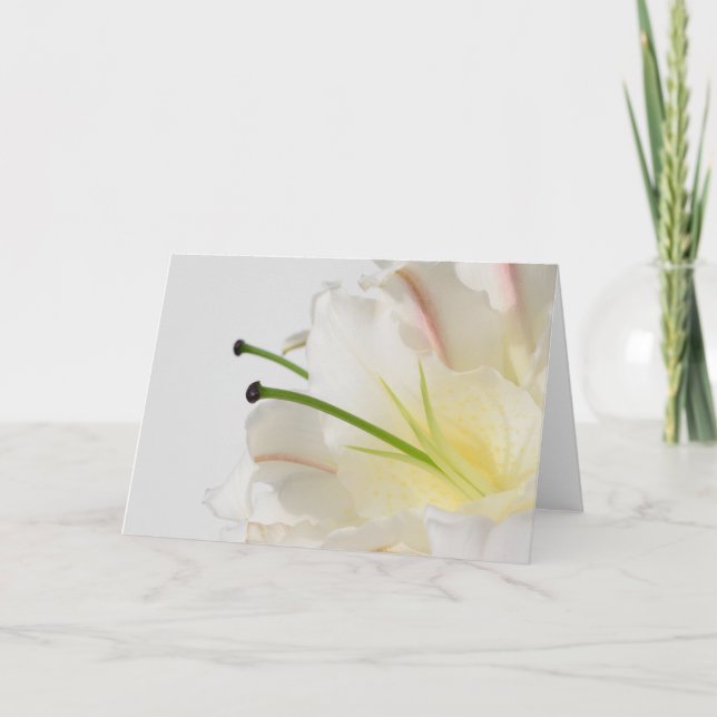 White Lily With Yellow Centre Any Occasion Card (Front)