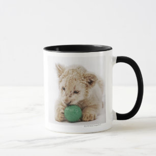 White lion cub (Panthera leo krugeri) playing Mug