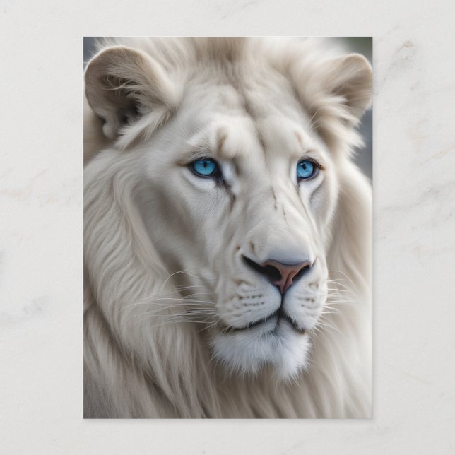 White Lion Holiday Postcard (Front)