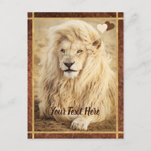 White Lion Photo Custom Postcard