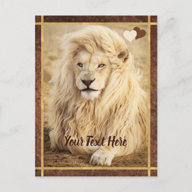 White Lion Photo Custom Postcard (Front)