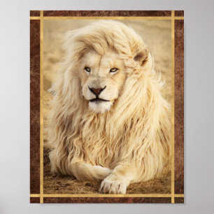 White Lion Photo Poster
