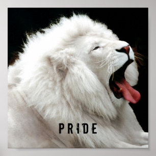 white lion pride poster