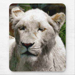 WHITE LIONS MOUSE MAT