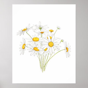 white little daisy bouquet flower watercolor  poster