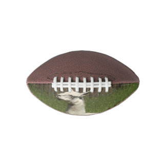 White Llama American Football